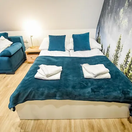 Mrozowka Apartment Poronin