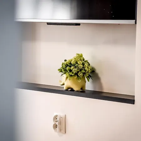 Mrozowka Apartment *