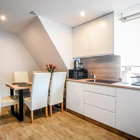 Mrozowka Apartment Poronin
